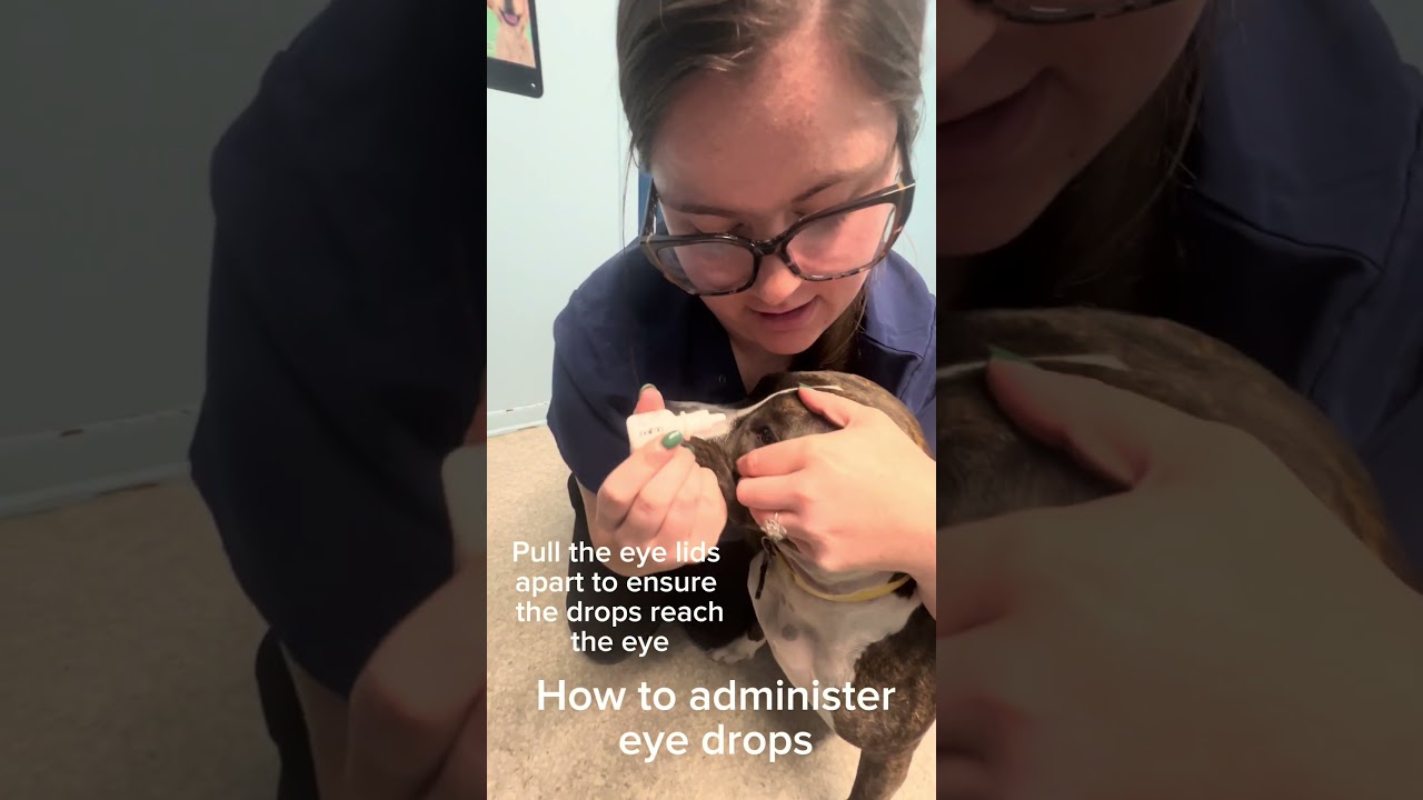 How to Administer Eye Drops at Home