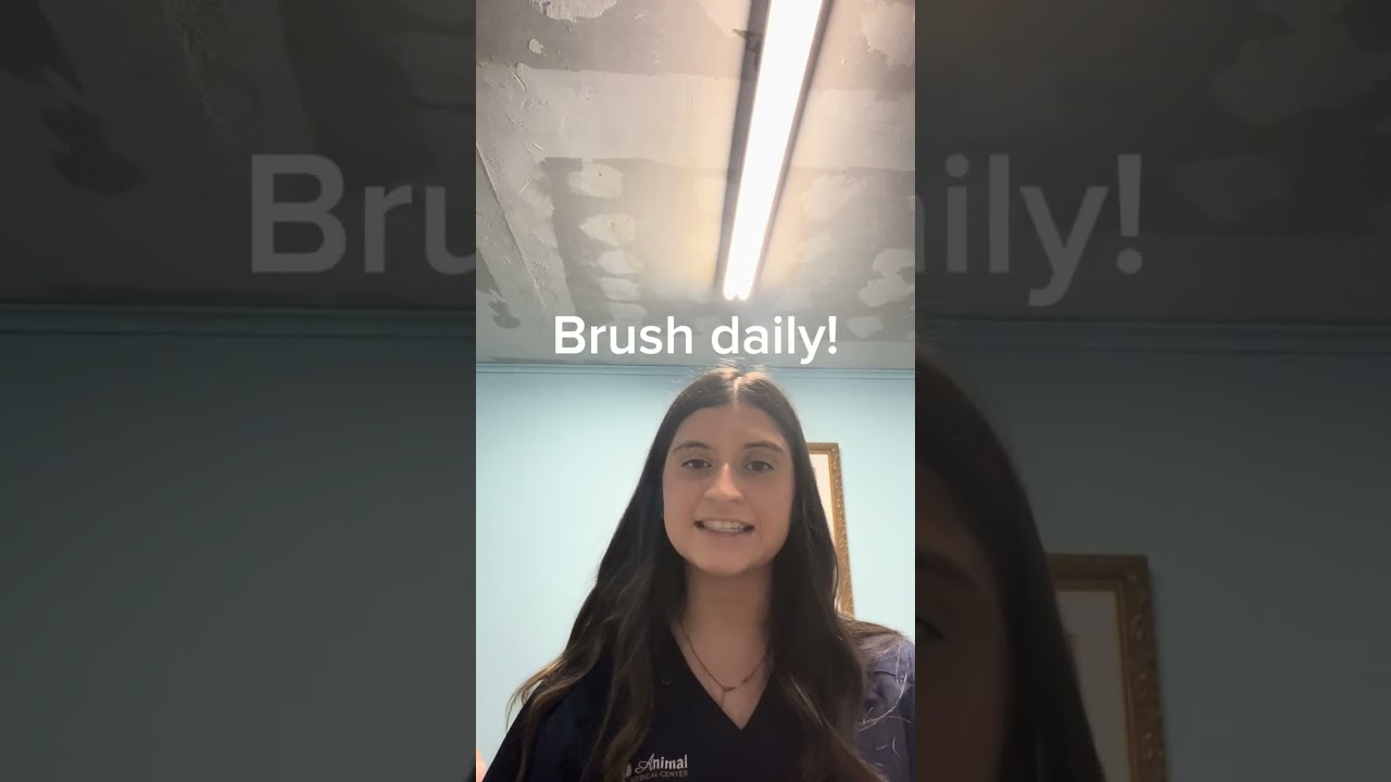 How to Brush Teeth at Home