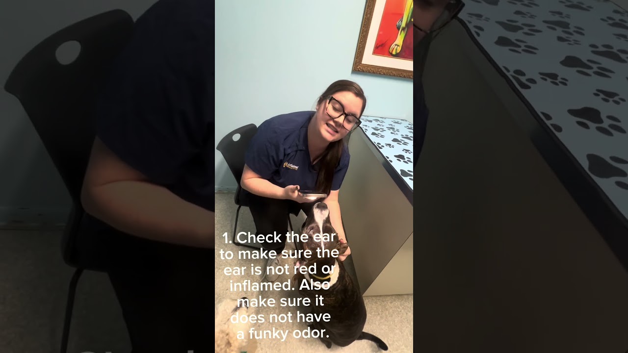 Proper Ear Cleaning at Home